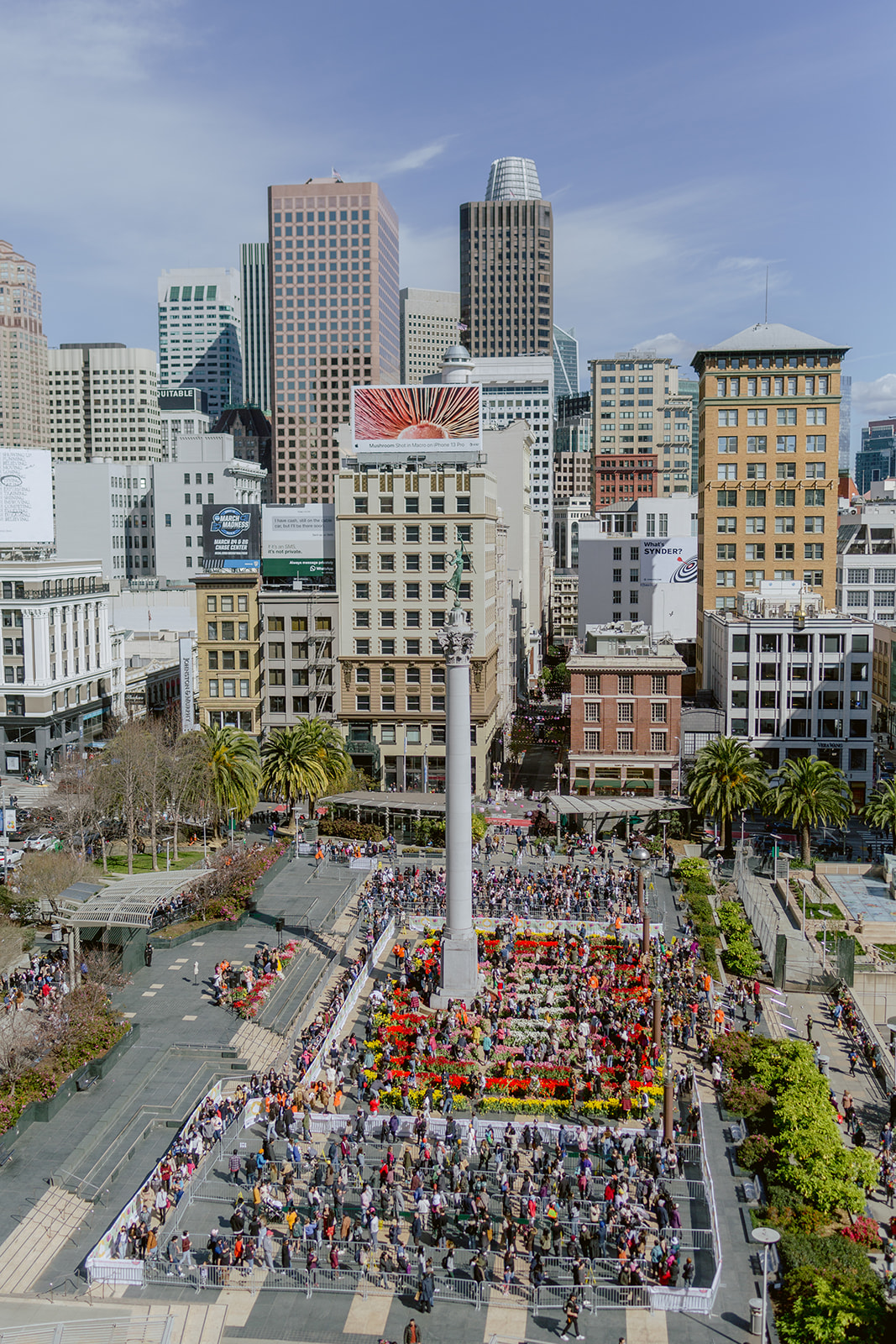 80,000 Tulips to Illuminate San Francisco's Union Square on American